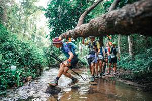 BIB: 
                            <button type="button" onclick="openModal(25371735)" class="btn btn-primary btn-sm float-right btn-popup" data-toggle="modal" data-target=".modal-high-quality">
                        <i class="fas fa-shopping-cart"></i> Add to Cart
                    </button>
                                            <button type="button" onclick="isThisMe(25371735, true)" class="btn btn-success btn-sm float-right btn-popup btn-isme hidden" data-toggle="tooltip" data-placement="bottom" title="นี่คือรูปของคุณใช่ไหม คลิกที่นี่เพื่อเอาเข้าอัลบั้ม">
                        <i class="fas fa-plus"></i> Add to album
                    </button>
                    <button type="button" onclick="isThisMe(25371735, false)" class="btn btn-warning btn-sm float-right btn-popup btn-isnotme hidden">
                        <i class="fas fa-ban"></i> Remove from album
                    </button>